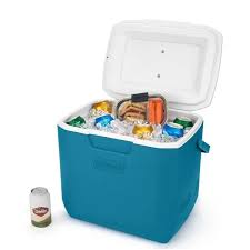 Cooler portátil